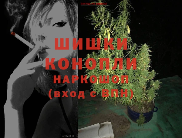 сатива Дмитров