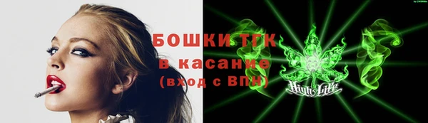 сатива Дмитров